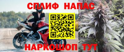 гашик Жуковский