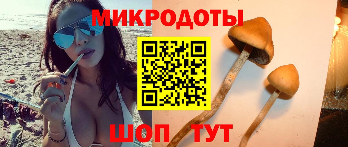 Псилоцибиновые грибы MAGIC MUSHROOMS Менделеевск